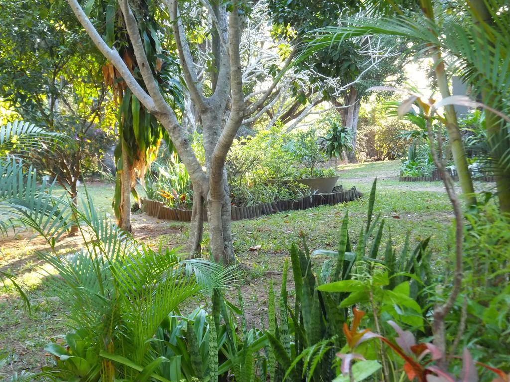 St Lucia Kingfisher Lodge Eksteriør billede