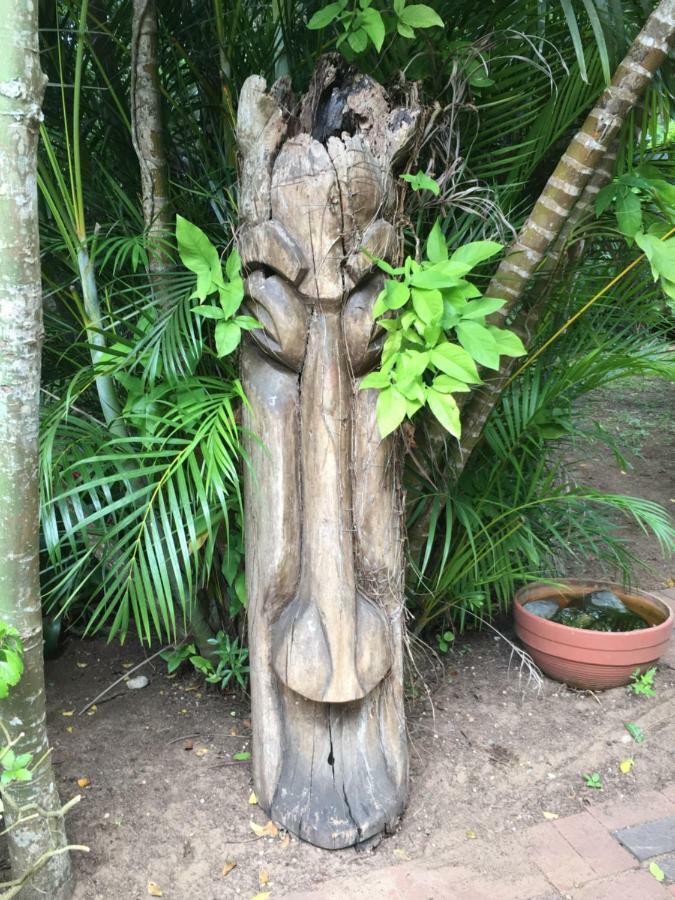 St Lucia Kingfisher Lodge Eksteriør billede